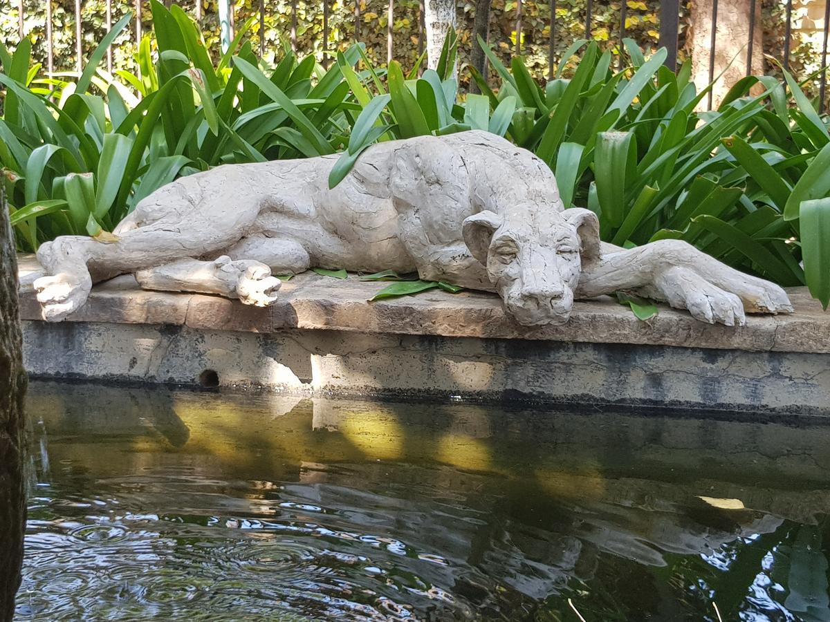 The Sculpture Yard 1 Διαμέρισμα Pretoria-Noord Εξωτερικό φωτογραφία